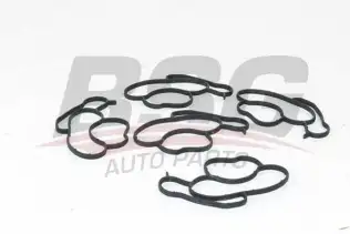 BSG 15116006 Yağ Filtre Hazne Contası