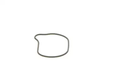 BOSCH 2440210028 O-Ring - 23. Görsel