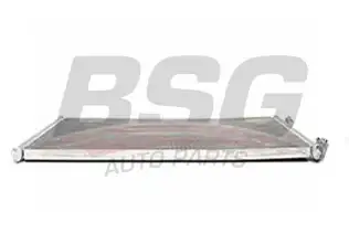 BSG 30525009 Klima Radyatörü