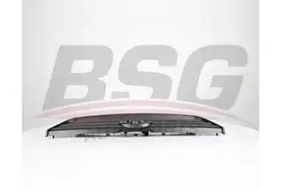 BSG 30927022 Ön Panjur