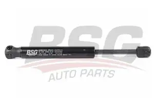 BSG 30980005 Bagaj Amortisörü