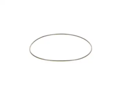 BOSCH 2440210044 O-Ring - 10. Görsel