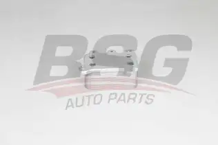 BSG 60506008 Yağ Soğutucusu