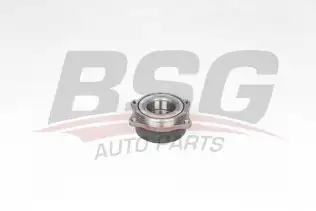 BSG 60600014 Porya Arka