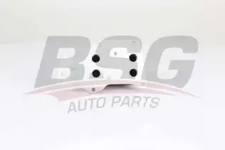 BSG 15506018 Yağ Radyatörü