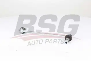 BSG 16310008 Viraj Askı Rotu Ön Sol