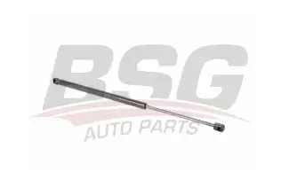 BSG 30980025 Bagaj Amortisörü