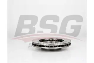 BSG 75210001 Fren Diski Ön