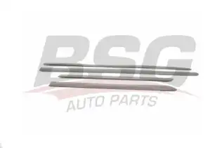 BSG 90924005 Kapı Bandı Takım
