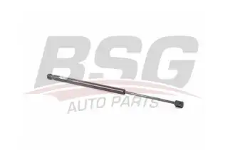 BSG 15980071 Bagaj Amortisörü