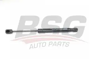 BSG 15980023 Motor Kaput Amortisörü