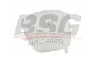 BSG 65550007 Radyatör Yedek Su Deposu
