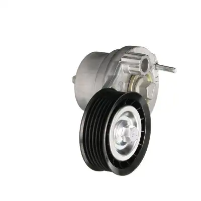 GATES T39270 V Kayış Gergi Rulmanı - 47. Görsel