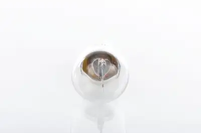 BOSCH 1987302811 Ampül Tek Duy - 4. Görsel