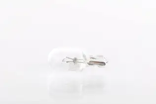 BOSCH 1987302819 Ampül