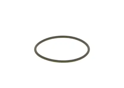 BOSCH F00N201306 O-Ring - 13. Görsel