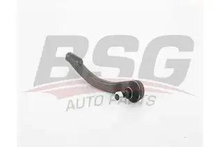 BSG 75310009 Rot Başı Sol