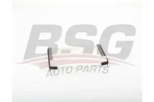 BSG 40145003 Polen Filtresi