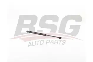 BSG 15980074 Motor Kaput Amortisörü