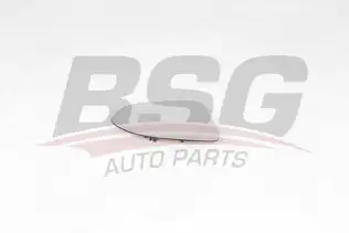 BSG 90910050 Ayna Camı Sağ