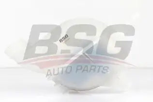 BSG 70550008 Radyatör Yedek Su Deposu