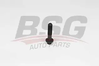 BSG 25103001 Krank Kasnak Civatası