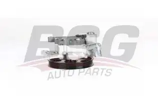 BSG 60355029 Direksiyon Pompası