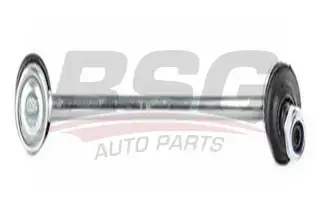 BSG 90310043 Viraj Askı Rotu Ön