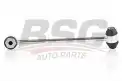 BSG 60310193 Viraj Askı Rotu Arka Sol