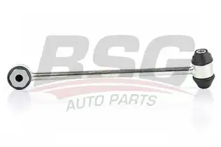 BSG 60310193 Viraj Askı Rotu Arka Sol