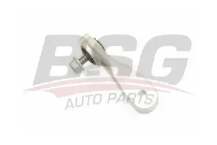 BSG 60310232 Viraj Askı Rotu Ön Sol
