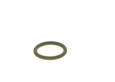 BOSCH F00RJ03115 O-Ring - 16. Görsel