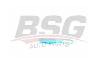 BSG 90922006 Silecek Su Depo Kapağı