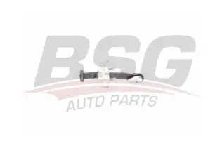 BSG 30922158 Kapı Gergisi Ön