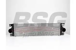 BSG 75535002 Turbo Radyatörü