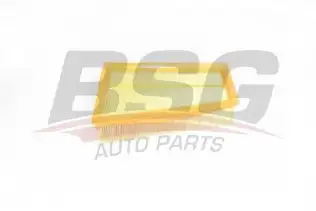 BSG 75135001 Hava Filtresi