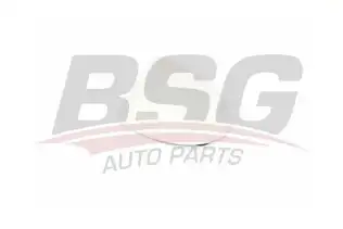 BSG 90910046 Ayna Camı Sol