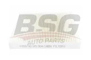 BSG 90145004 Polen Filtresi
