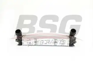 BSG 15535002 Turbo Radyatörü