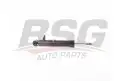 BSG 15300040 Amortisör Arka Sağ