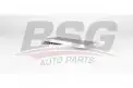 BSG 75145014 Polen Filtresi