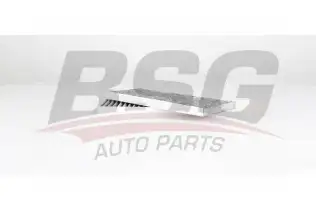BSG 75145014 Polen Filtresi