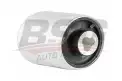 BSG 60700132 Salıncak Burcu