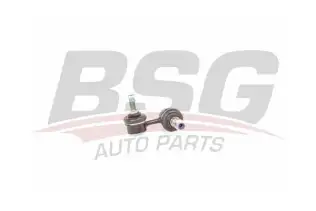 BSG 40310123 Viraj Askı Rotu Ön Sol