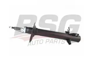 BSG 70300022 Amortisör Ön