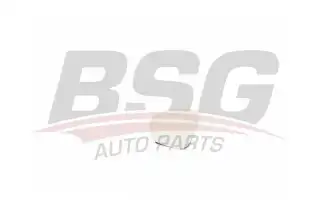 BSG 90910042 Ayna Camı Sol