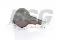 BSG 60310119 Rotil Alt