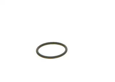 BOSCH F00VC38042 O-Ring - 16. Görsel
