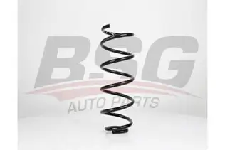 BSG 90305009 Helezon Yayı Ön