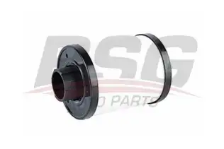 BSG 70130002 Yakıt Filtresi